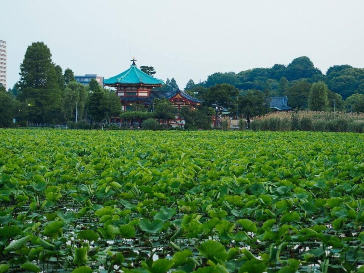 Tora Hotel Taito - Vacation Stay 53048V โตเกียว ภายนอก รูปภาพ
